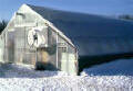 Solar star Large "Gothic" Greenhouses