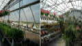 Super Mart Greenhouses