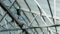 Super Mart Greenhouses