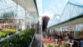 Super Mart Greenhouses