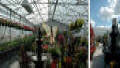 Super Mart Greenhouses