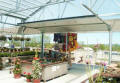 Super Mart Greenhouses-professional greenhouses,