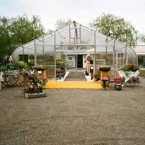 Gothic Style Solar Star Greenhouse Systems