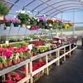 Round Solara Greenhouse Packages