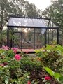 Junior Victorian Glass Greenhouse