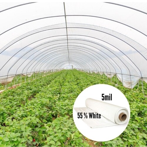 Overwintering Greenhouse Film 5 mil 55% White