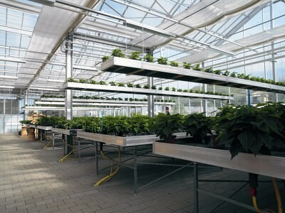 State of the Art Production Greenhouse