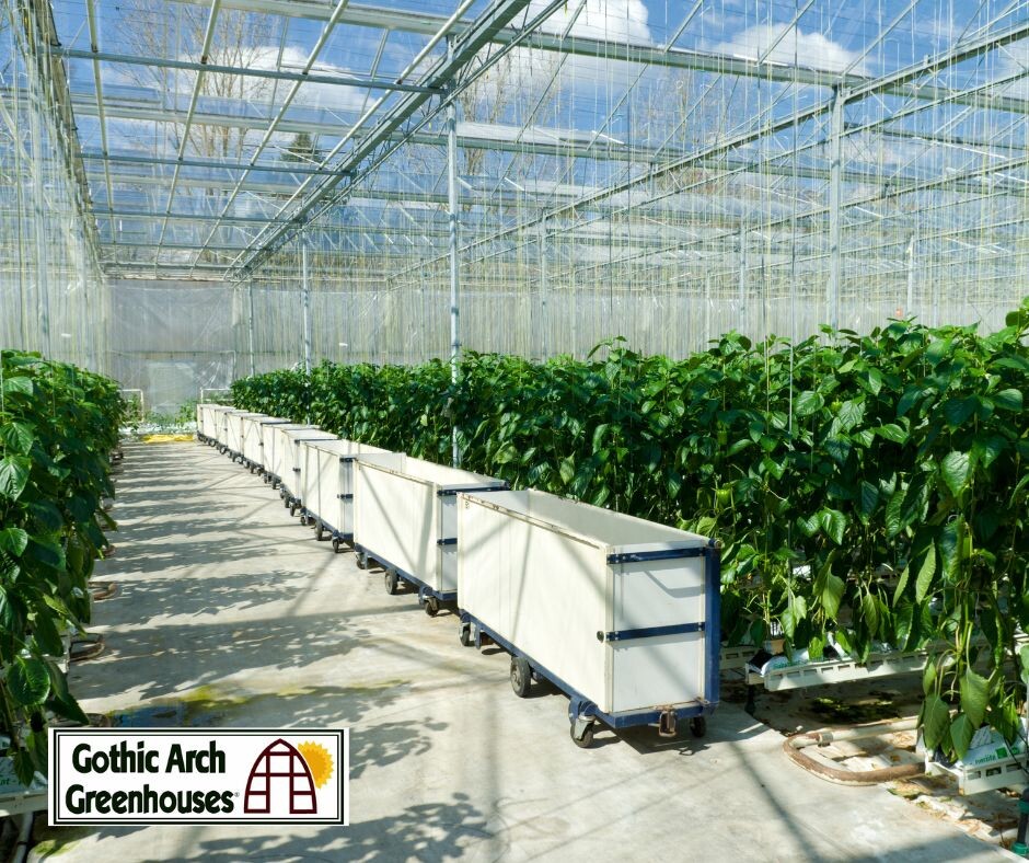 How to Improve Commercial Greenhouse Operations
