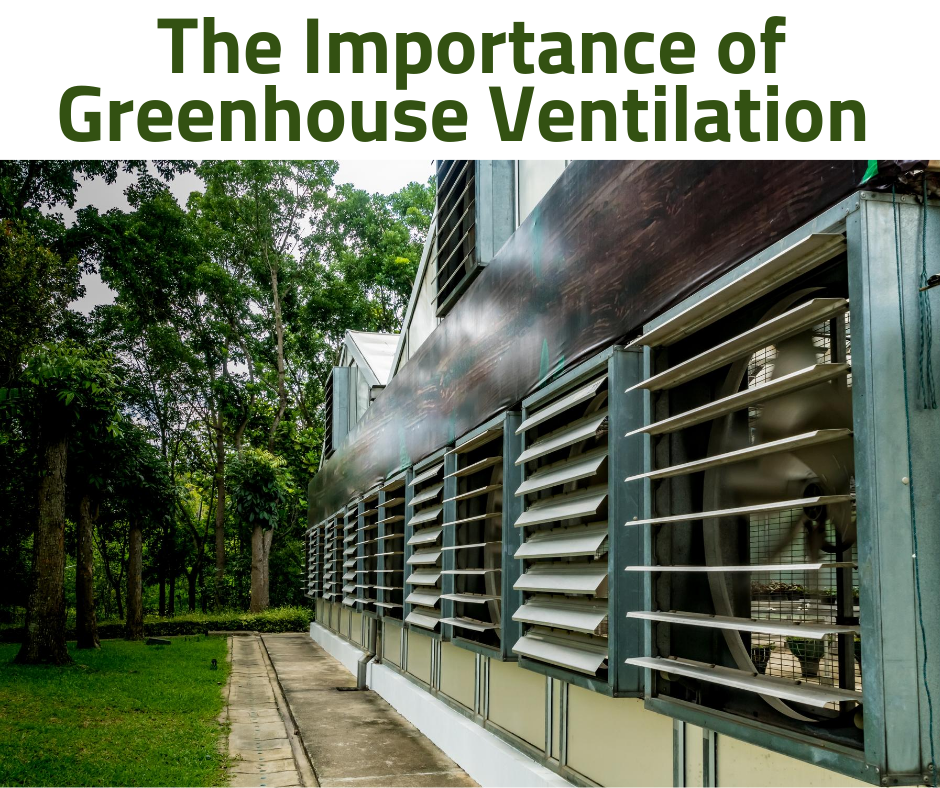 The Importance of Greenhouse Ventilation