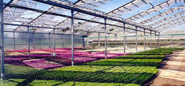 Retractable Roof Greenhouse