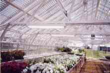 American Classic Commercial Greenhouses