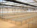 BK Greenhouse Nursery