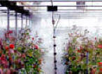 Environmental Controls