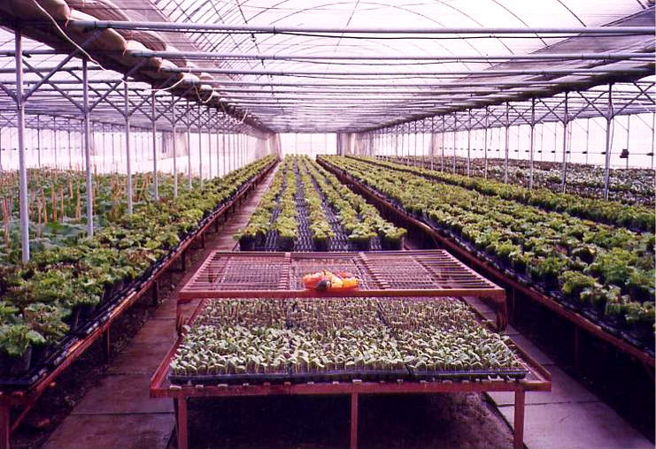 Greenhouse and Nursery Products