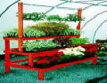Grow Display - Three Tier Stair Step Display