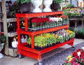 Grow Display - Three Tier Stair Step Display