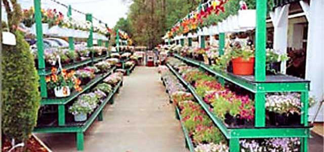 Grow Display - Three Tier Stair Step Display