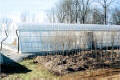 Classic Greenhouse