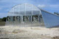 Classic Greenhouse