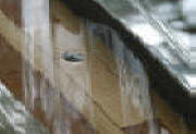 Greca Corrugated Polycarbonate