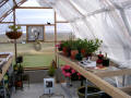 Gothic Arch Greenhouse Projects
