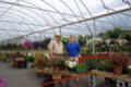 Classic Greenhouse