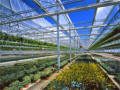 DF  Greenhouse for Garden Center 