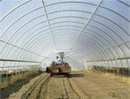 Economy Round Style High Tunnel