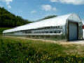 Expansion Mansion Greenhouse