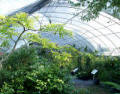Round Style High Tunnel