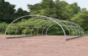 Giant cold frames 