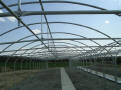 Gothic Arch Greenhouse Projects
