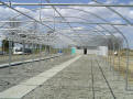 Gothic Arch Greenhouse Projects
