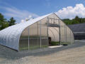 Gothic Arch North Greenhouse