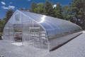 Gothic Arch North Greenhouse