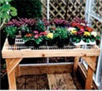 Greenhouse Accessories -Cedar Benches with Wire Top
