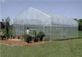Majestic Connect Greenhouses