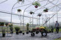Majestic Connect Greenhouses