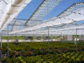 Retractable Roof Greenhouses 