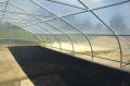PT-30 Greenhouses
