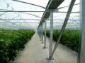 PTSF-23 Greenhouses