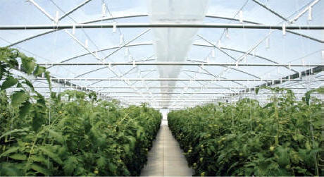 PTSF-23 Greenhouses