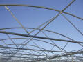 PTSF-23 Greenhouses
