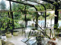 Pacific Glass Lean-To Greenhouses-12'W x 20'L SG