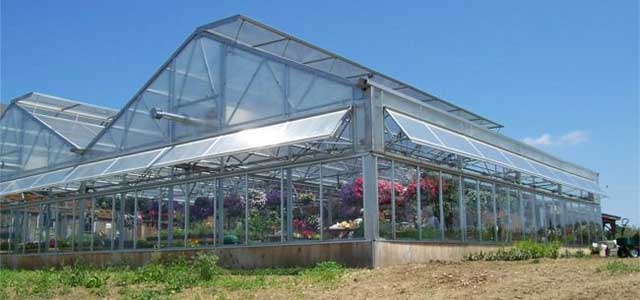  Retail Garden Greenhouses s