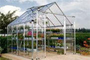  snap grow  is a attractive  for your backyard