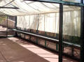Royal Victorian Glass Greenhouses