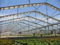 Retractable Roof Greenhouses