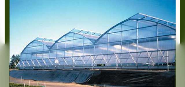 Arch 6500 Greenhouse