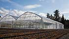 Arch Greenhouse